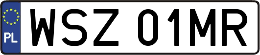 WSZ01MR