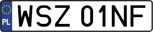 WSZ01NF