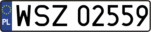 WSZ02559
