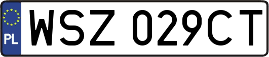 WSZ029CT