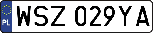 WSZ029YA