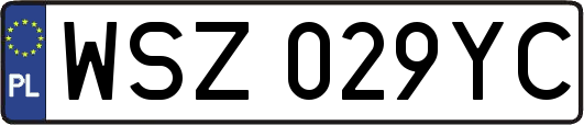 WSZ029YC