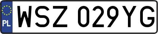 WSZ029YG