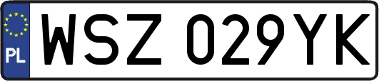 WSZ029YK