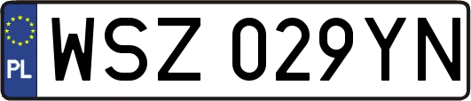 WSZ029YN