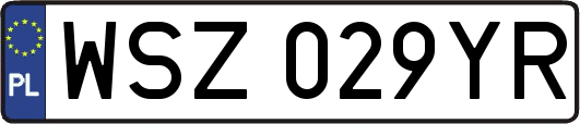 WSZ029YR