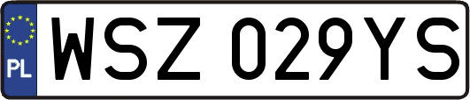 WSZ029YS