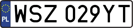 WSZ029YT