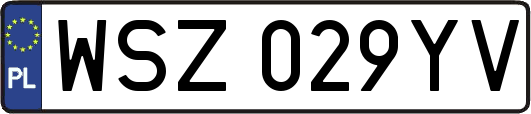 WSZ029YV