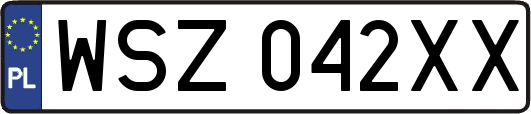 WSZ042XX