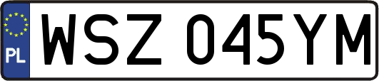 WSZ045YM