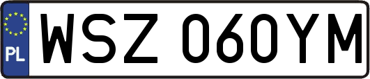 WSZ060YM