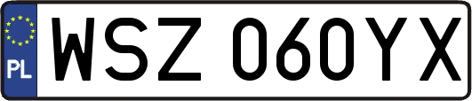 WSZ060YX
