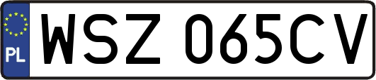WSZ065CV
