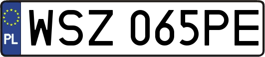 WSZ065PE