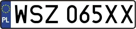WSZ065XX