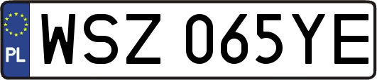 WSZ065YE