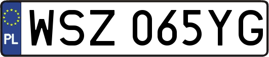 WSZ065YG