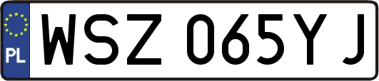 WSZ065YJ