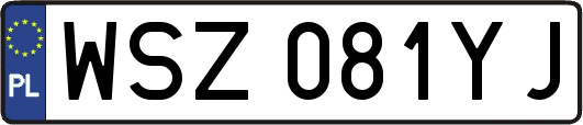 WSZ081YJ