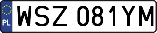 WSZ081YM
