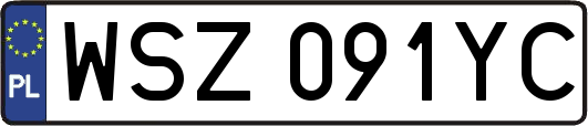 WSZ091YC