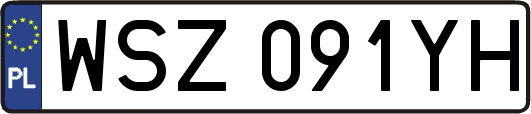 WSZ091YH