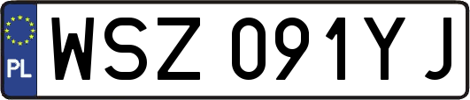 WSZ091YJ