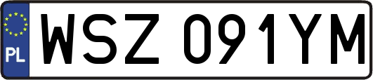 WSZ091YM
