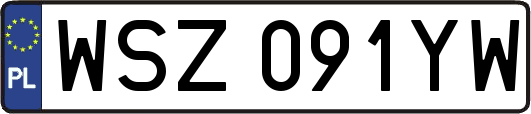 WSZ091YW