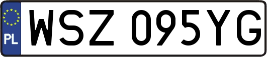 WSZ095YG