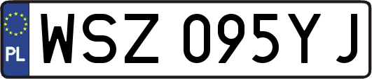 WSZ095YJ