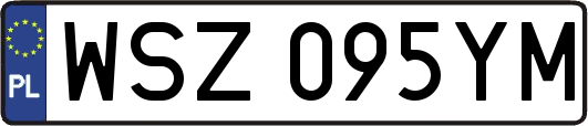 WSZ095YM