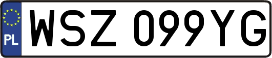 WSZ099YG