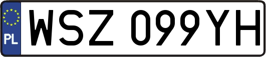 WSZ099YH