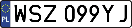 WSZ099YJ