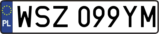 WSZ099YM