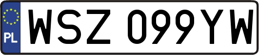 WSZ099YW