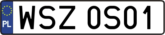 WSZ0S01