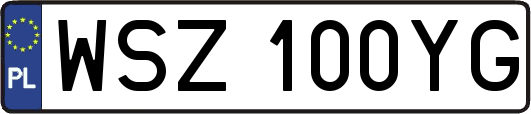 WSZ100YG