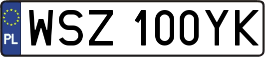 WSZ100YK