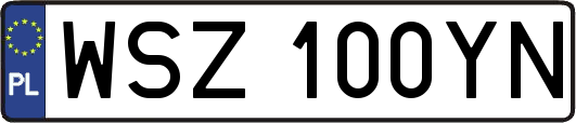 WSZ100YN