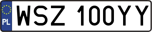 WSZ100YY