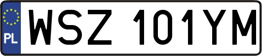 WSZ101YM