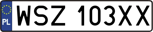 WSZ103XX