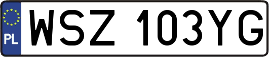 WSZ103YG