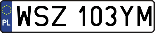 WSZ103YM