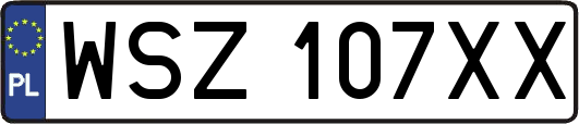 WSZ107XX