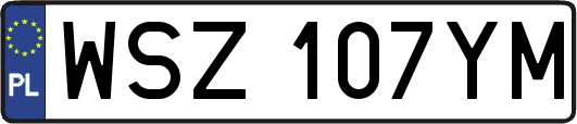 WSZ107YM