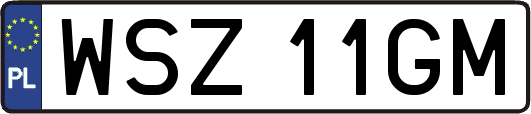 WSZ11GM